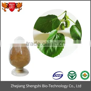 Best Price Food Grade Product Green Organic Mulberry Leaf Extract Powder thumbnail-2