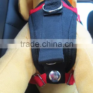 0065 YiWu Winipet Luxury Pet Products Made in China thumbnail-3