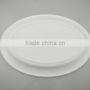 Oval Shape Plastic Plate For BBQ thumbnail-5