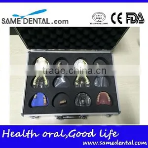 Temporal-mandibular Joint Demo Board Teaching Model thumbnail-1