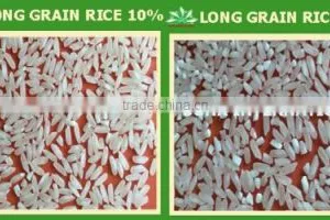 JAPONICA/ROUND WHITE RICE 5% BROKEN - BEST SELLING - VIETNAM RICE MILL thumbnail-2