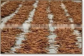 HKVIMEX'S BROKEN CASSIA BEST QUALITY AND PRICE thumbnail-1