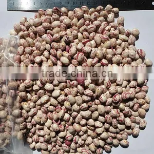 2014 Light Speckled Kidney Bean Xinjiang Round Type 150-170 thumbnail-1