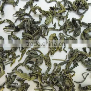 New OP Green Tea Gimex Vietnam thumbnail-1