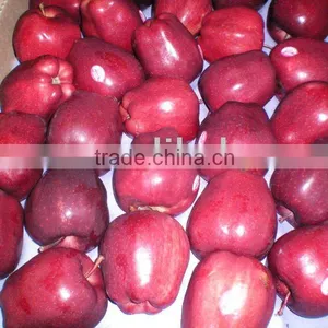 Huaniu Apple New Products thumbnail-1