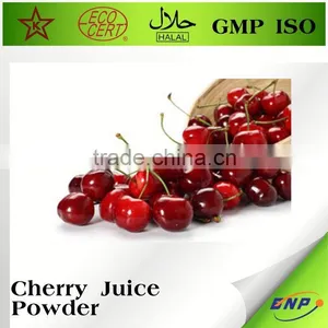 BNP ISO HALAL 100% Natural High Quality Water Soluble Acerola Cherry Extract Powder thumbnail-3