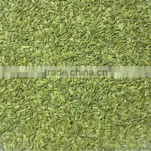 Fennel Seeds thumbnail-1