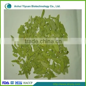 Supply High Quality Dried Folium Senna Leaf( Fan Xie Ye) thumbnail-1