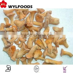 2015 New Product China Mushroom Frozen Chanterelles Mushroom thumbnail-5