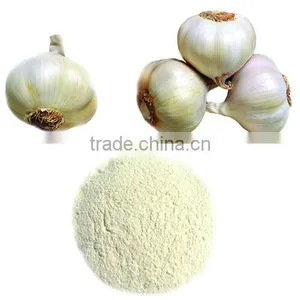 Garlic Powder thumbnail-1
