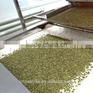 Sell Shine Skin Pumpkin Seeds Kernels and GWS Pumpkin Seeds Kernels and GWS Pumpkin Seeds thumbnail-4