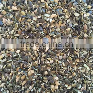 Broken Pumpkin Seeds Price GWS Oil Grade thumbnail-2