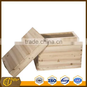 Bee Hive thumbnail-3