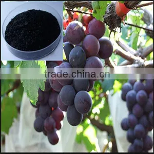 Kinds of Agriculture Fertilizer Potassium Humate 70% thumbnail-1