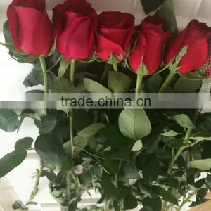 Wedding Flowers Fresh Cut Roses Fresh Flower Hand Bouquet Decoration Fresh Flowers thumbnail-2
