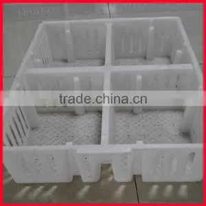 Plastic Chicken Tranport Stackable Cage/box/crate for Child Chicken thumbnail-3