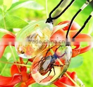 Lively Real Insect Resin-Hotsale thumbnail-1