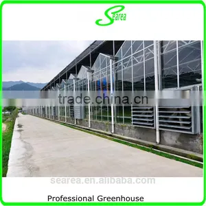 High Quality Giant Greenhouse,flower,plant House/large Inflatable Membrane Structures thumbnail-3