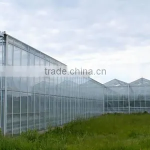 Agricultural Multi-Span Greenhouse(ISO9001:2008) thumbnail-6