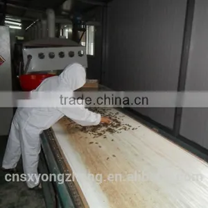 Fish Food Dired Shrimps thumbnail-3