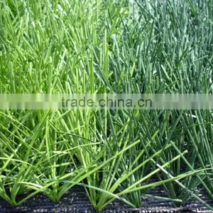 High Simulation Cheap Football Artificial Turf Football Field Synthetic Grass Carpet Synthetic Grass for Soccer Fields thumbnail-3