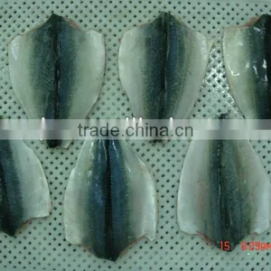 Frozen Mackerel Fillet thumbnail-1