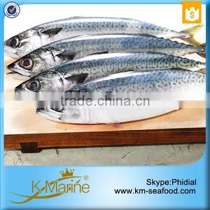 Top Quality Whole Frozen Mackerel For Sale thumbnail-6