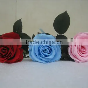 Artificial Preserved Roses Flower With Stem For Wedding Decorating Flowers thumbnail-4