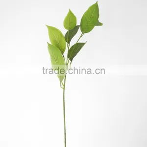 Indoor Christmas Flower Foliage Plant thumbnail-2