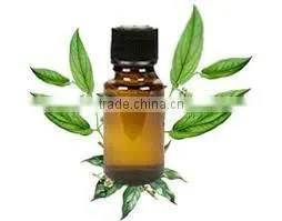 Camphor Oil thumbnail-1