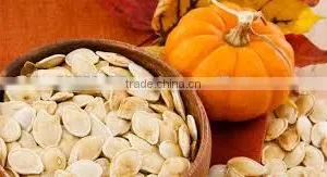 Pumpkin Seeds thumbnail-3