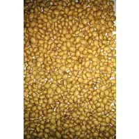 Soybean thumbnail-1