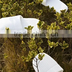 Wholesale Cheap EVA Sole Waffle Hotel Indoor White Slipper With Logo thumbnail-5