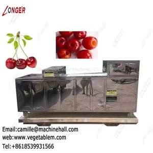 Cherry Stone Removing Machine |Cherry Pitting Machine for Sale|Plum Pit Remover thumbnail-1