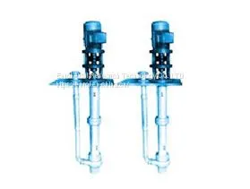 SD Series Fluoroplastic Liquid Pump thumbnail-1