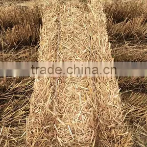 Runshine Since 1989 9YFQ1.9 Square Baler thumbnail-6