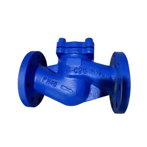 Factory Direct Sales Lifting Check Valve thumbnail-3