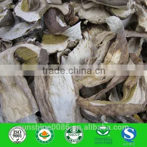 Mushrooms Product Type and Dried Style Mushroom thumbnail-1