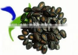 New Crop Black Dry Wate Rmelon Seeds for Sale thumbnail-1
