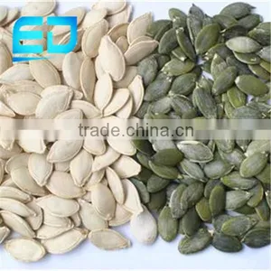 Pumpkin Seed and Kernel thumbnail-1