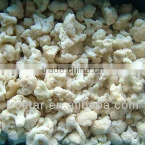 IQF Cauliflower Cube thumbnail-1