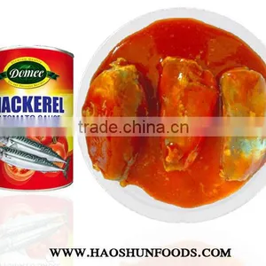 Canned Mackerel Fish in Tomato Sauce thumbnail-1