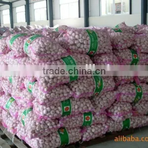 Dried Garlic Granules thumbnail-1