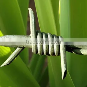 Anping Supply Good Quality And Galvanized Barbed Wire thumbnail-1