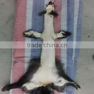 Silver Color Animal Skin Fox Fur Pelts Genuine Silver Fox Fur Skin thumbnail-1