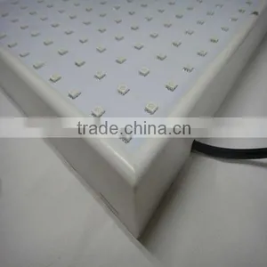 28w DIY Mini Led Grow Lighting thumbnail-5
