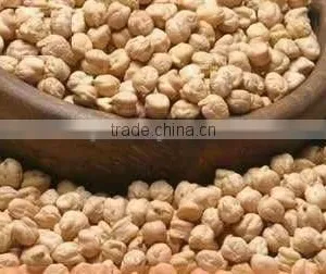 Chick Pea Kabuli Variety With Size Ranging From 7mm-12mm thumbnail-1
