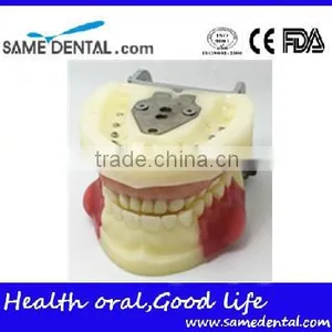 Dental Eduction Assistant No. DEA-04 thumbnail-3