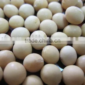 Soya Bean /non-gmo Type thumbnail-1