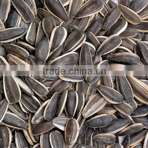 Sunflower Seeds thumbnail-1